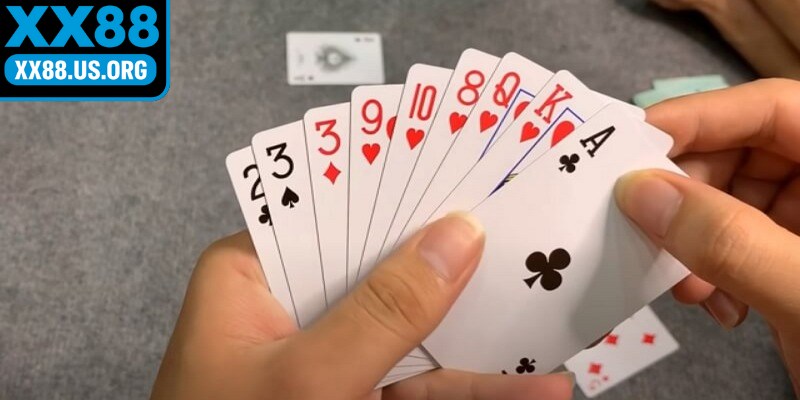 Mẹo chơi phỏm giúp bạn nhanh thắng và ít rủi ro